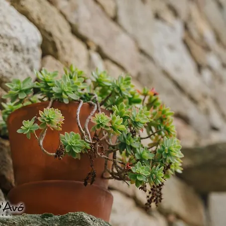 Curral D Avó Turismo Rural&spa *